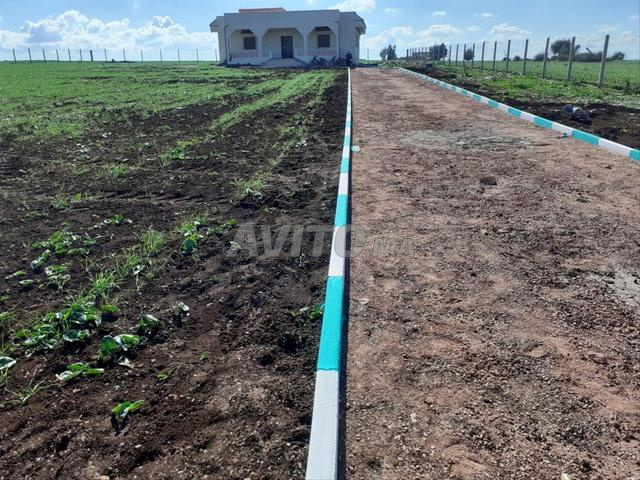 فيلا في بداية نصف هكتار ثيثر فونسي 100مليون - 2