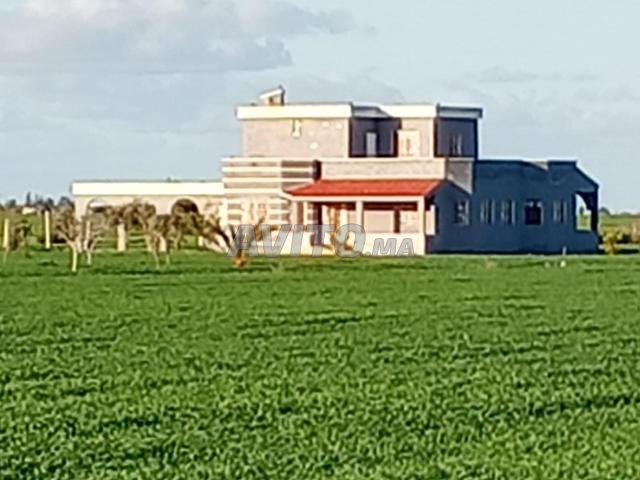 Villa avec terrain agricole titre foncier 4 hectares 430 millions