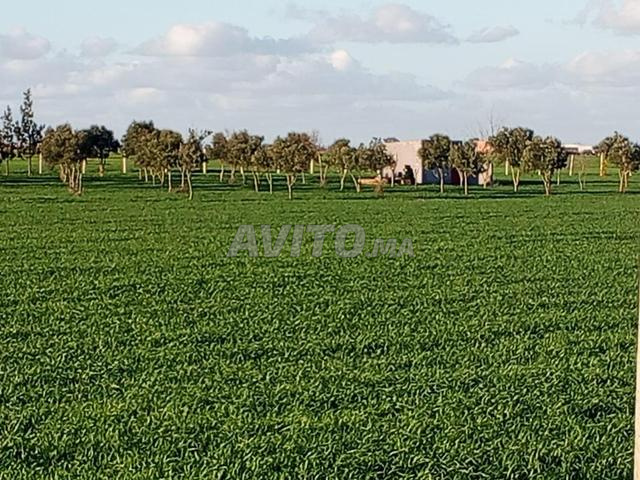 Villa avec terrain agricole titre foncier 4 hectares 430 millions - 2