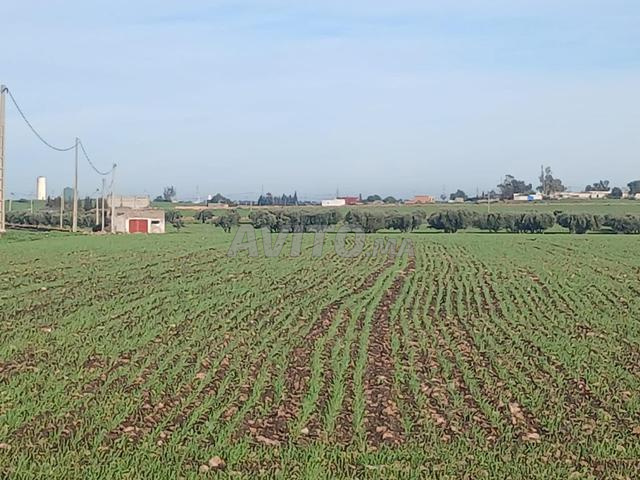 Terrain agricole Thiter Fonsi 220 million avec un puits