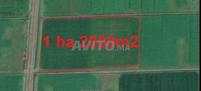 بير جديد - أراضٍ محفظة للسكن والبناء والاستثمار - 2