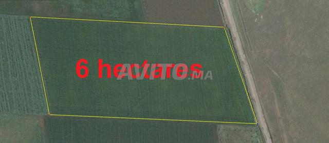 Terrains et fermes agricoles titrés, région de Bir Jdid - 2