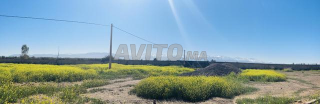 Terrain de 10,000m2 à vendre - Vue Atlas