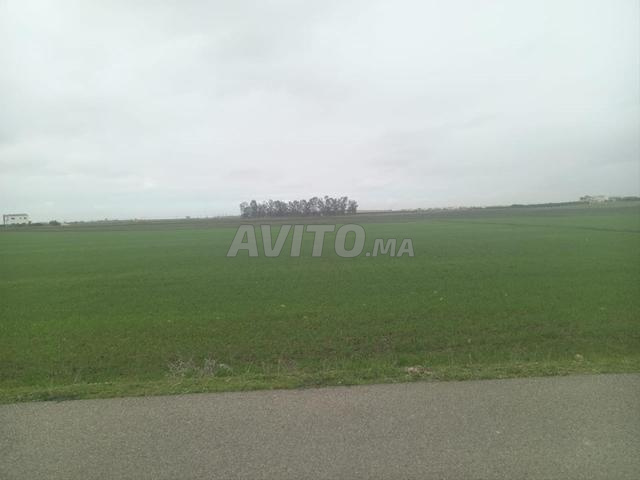 Terrain à vendre a oulad saleh