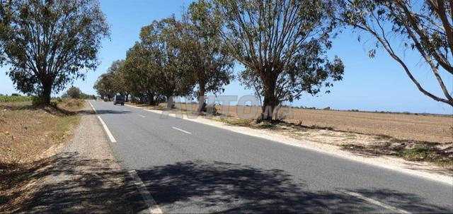 Terrain à Vendre à Bir Jdid sur la route principal