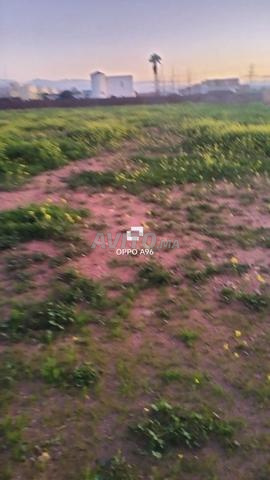 أرض هكتار للبيع طريق أوريكة 9 كم منطقة sd1