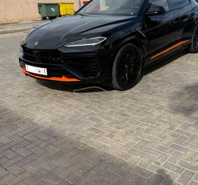 Lamborghini (Urus 11/2025)