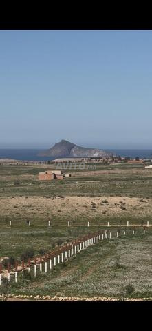 أرض 10000م2 مطلة على البحر للبناء. - 2