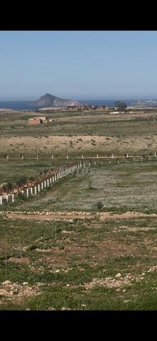 Terrain 10000m2 vue mer a construire.