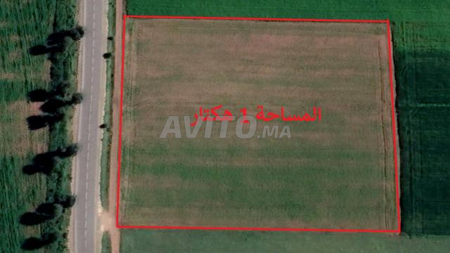 Terrains agricoles titrés pour habitation et investissement à Sidi Rahal