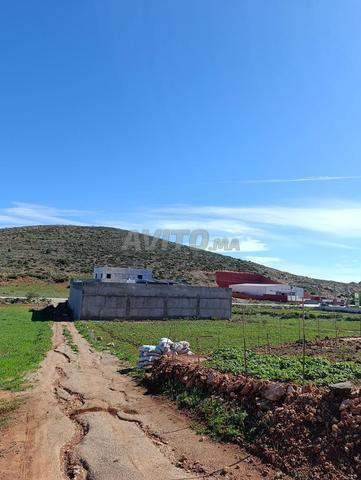 Mc.mild اراضي للبناء المحافظة لكل قطعة أرض - 2