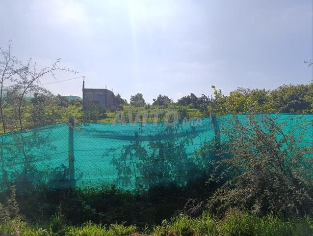 Ferme 1 hectare d'avocat 7km