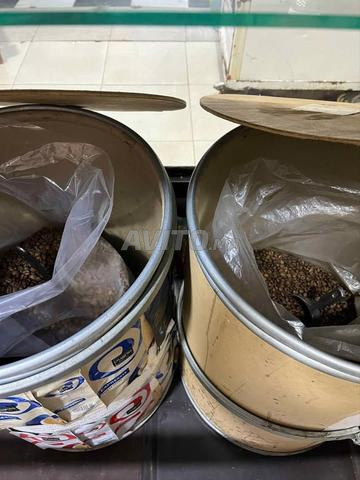 قهوة روبوستا ممتازة - قوة المذاق وثمن خيالي