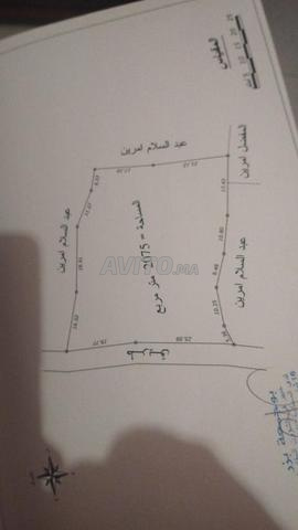 Terrain à vendre - Opportunité d'investissement exceptionnelle à Chefchaouen