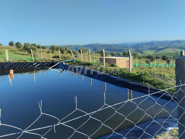 Ferme titrée à vendre à khemisset