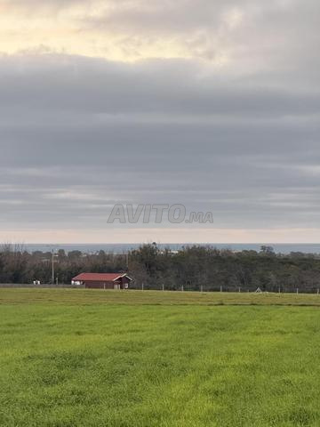 Terrain à la vente à Sidi Rahal Chatai. 10000 m²