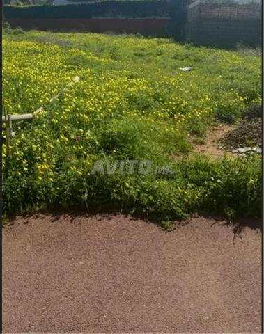 Lot de terrain pour villa au Secteur 14 Hay Riad