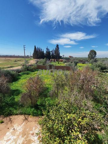 Terrain à vendre avec maison et piscine