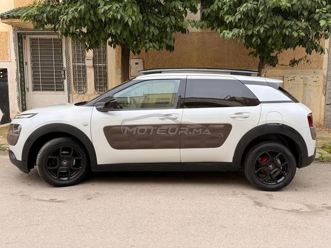je met en vente ma C4 cactus