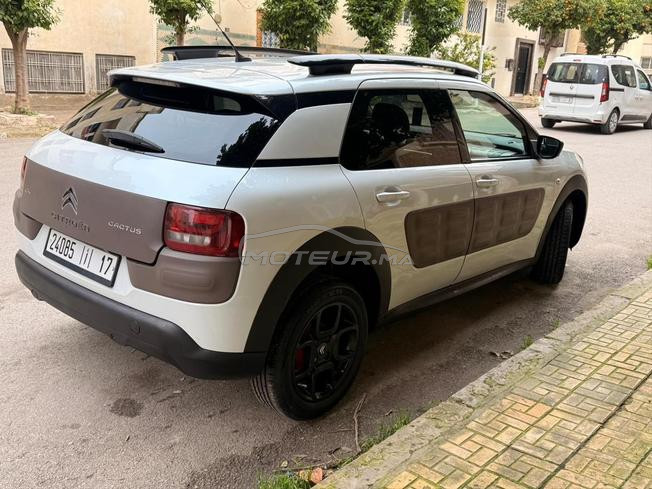 je met en vente ma C4 cactus