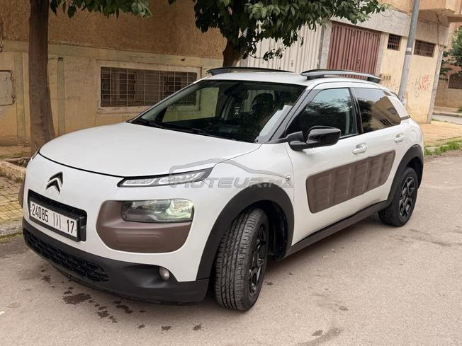 je met en vente ma C4 cactus