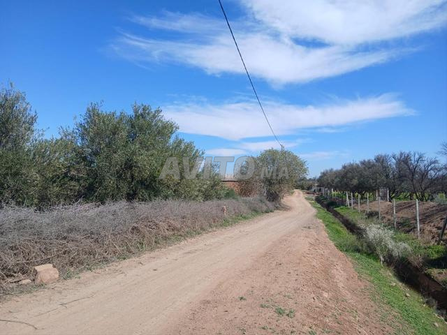 Terrain 740 M2 constructible route Amizmiz KM18 - 2