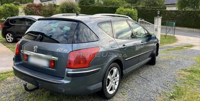 peugeot 407 sw familly 
