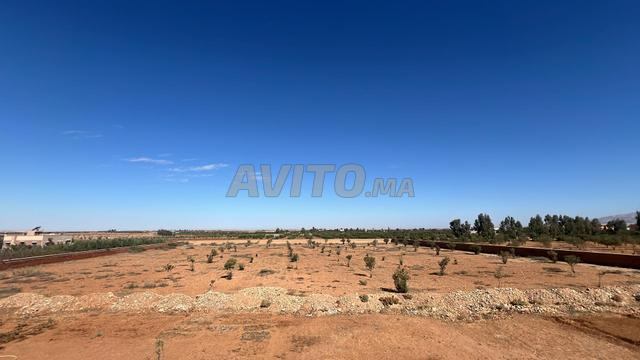 Terrain d’1 hectare titré et clôturé