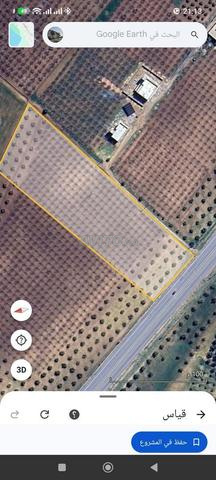 Hectare et 6660 mètres à vendre Titre de propriété