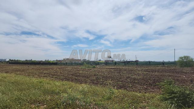 Terrain agricole titré près de Dar Bouaaza et Had Soualem