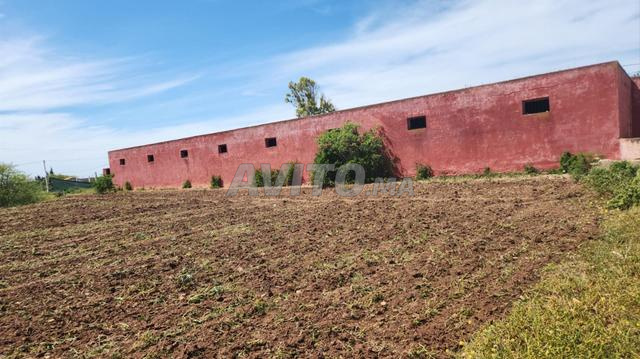 أرض فلاحية محفظة بالقرب من دار بوعزة وحد السوالم