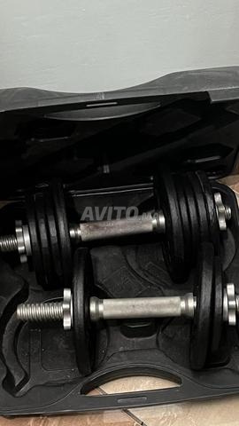 Haltères musculation