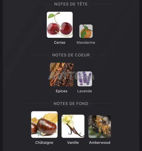 Stronger with you Powerfully Emporio Armani 50ml