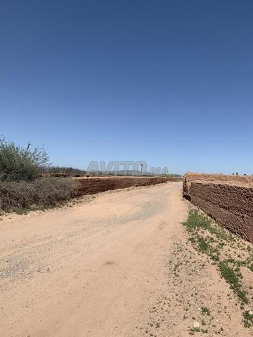 Terrain 1 hectare titré rte de Fès