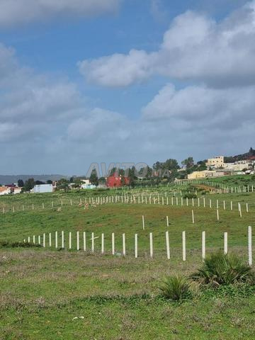 Terrain à vendre à la commune de Chorafate, Tanger