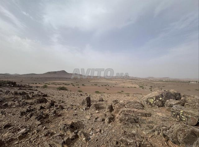 Terrain 5000 m² avec vue Atlas – 22 min Marrakech
