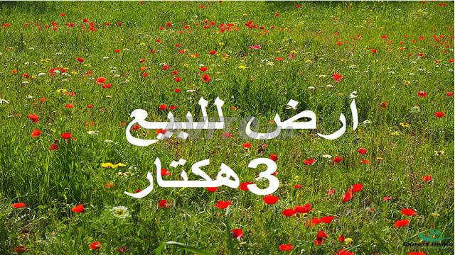 أراضٍ محفظة بشتوكة – للسكن أو الاستثمار الفلاحي - 2