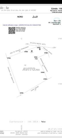 À vendre terrain titré de 1438 m² - Ksar Sghir