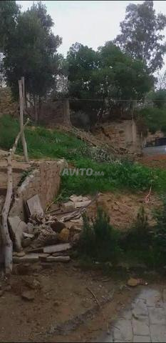أرض أمام ملعب طنجة