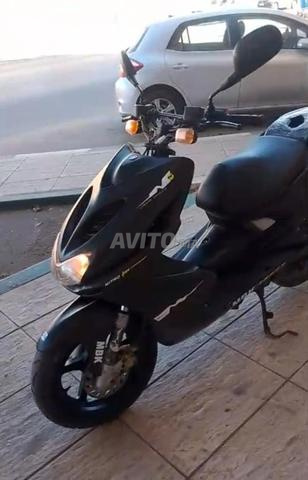 Natrou Mliha 2012 - 2