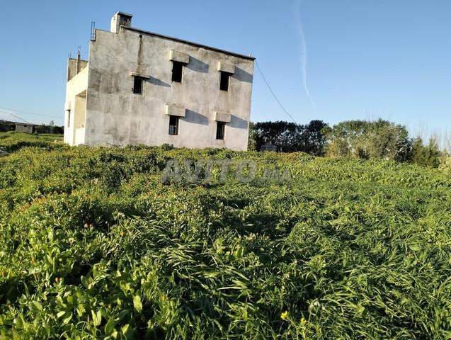 مزرعة 3 هكتار بإطلالة بانورامية - 2