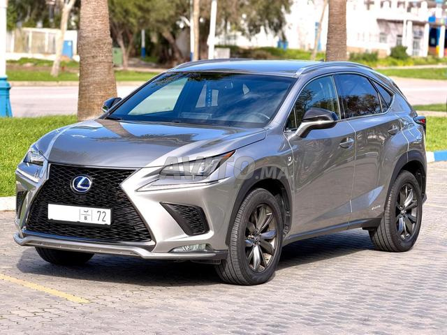 LEXUS NX300h F-SPORT 2021 (full)