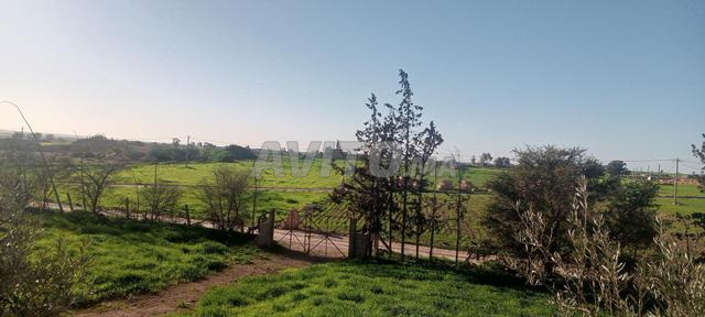 Ferme agricole 41 خدام avec eau abondante et mine de marbre partielle