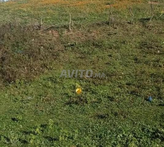 Terrain de 550m² à Mallalienne tetouan vue mer - 2