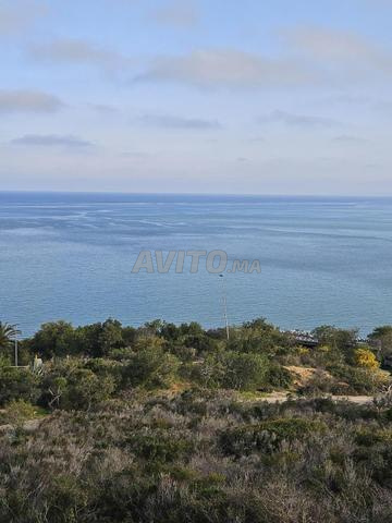 Terrain de 3000m² à la montagne Cabo Negro Vue mer