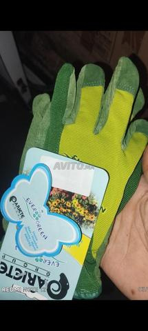 Gants en gros marque Italie taglia (S) (L) 10 dh