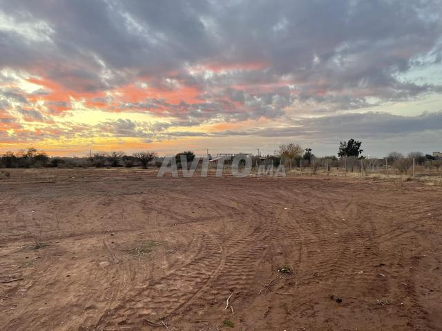 Terrain 2000 m² titre foncier - lot pour villa