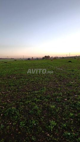 Terrain I2 à vendre zone industrielle Ouled Hadda - 2