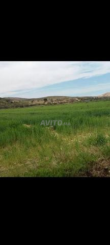 Terrain. A côté de la mer