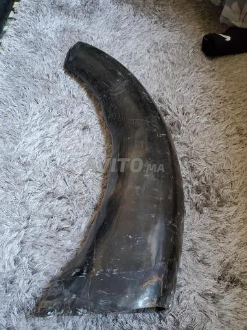 Rhinocéros ou licorne